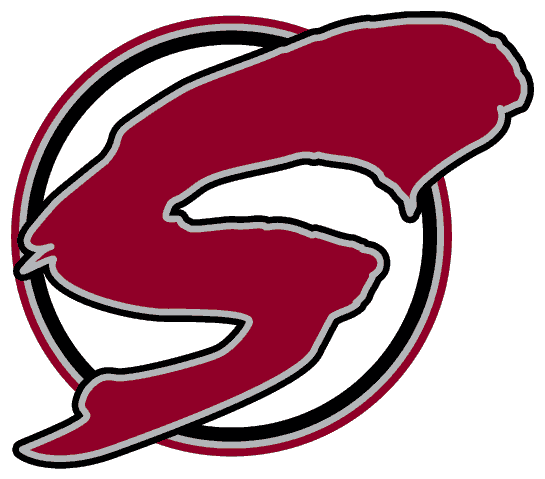 Guelph Storm 1997 98-2006 07 Alternate Logo iron on paper